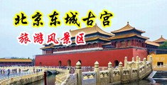 赤裸裸搞基黄片老司机中国北京-东城古宫旅游风景区