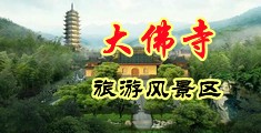 骚屄流白浆/中国浙江-新昌大佛寺旅游风景区